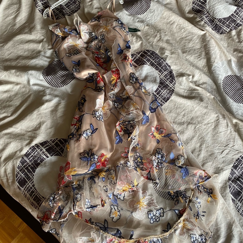 COPY - BNWT Simons embroidered party dress